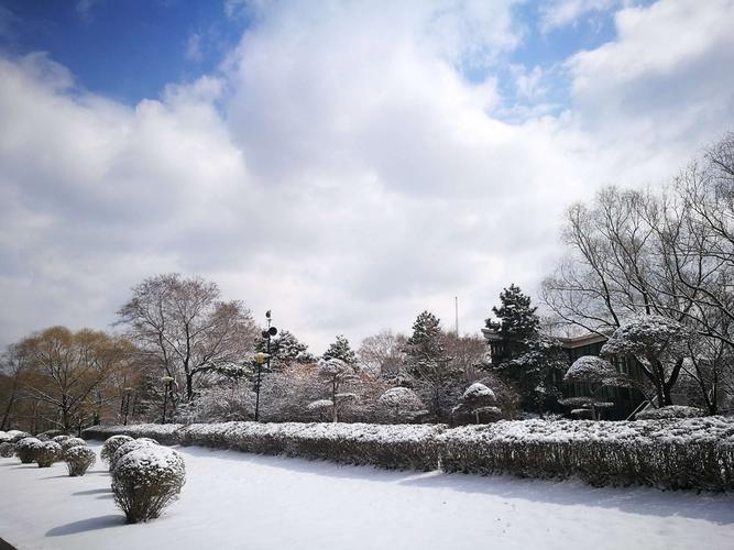 春天雪景