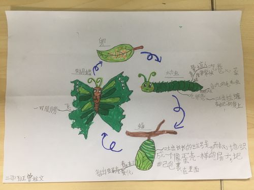 【学习篇】思维导图初体验