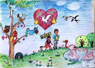 侯鸟的乐园画一幅画不是手抄报