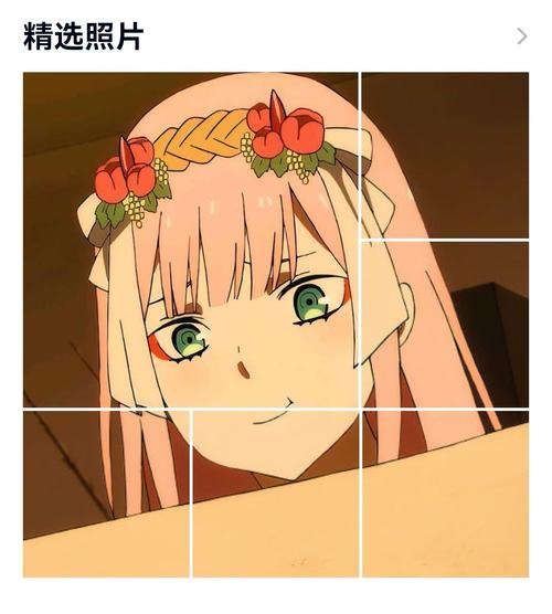 国家队02darlinginthefranxxqq精选照片diy拼图壁纸no1