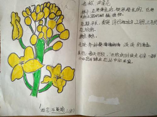 综合实践作业(一)___制作记录卡