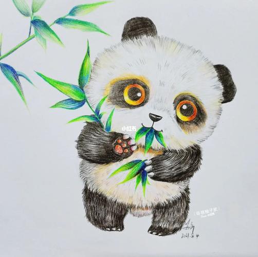 彩铅作品|爱吃竹子的熊猫(内附过程图)_彩铅_熊猫_创意美术_绘画_小