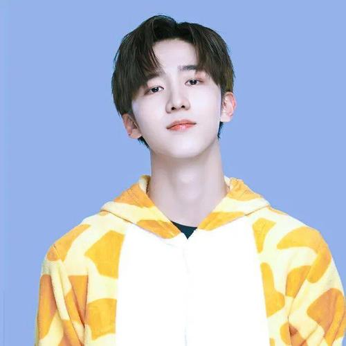 【微信头像】r1se赵让