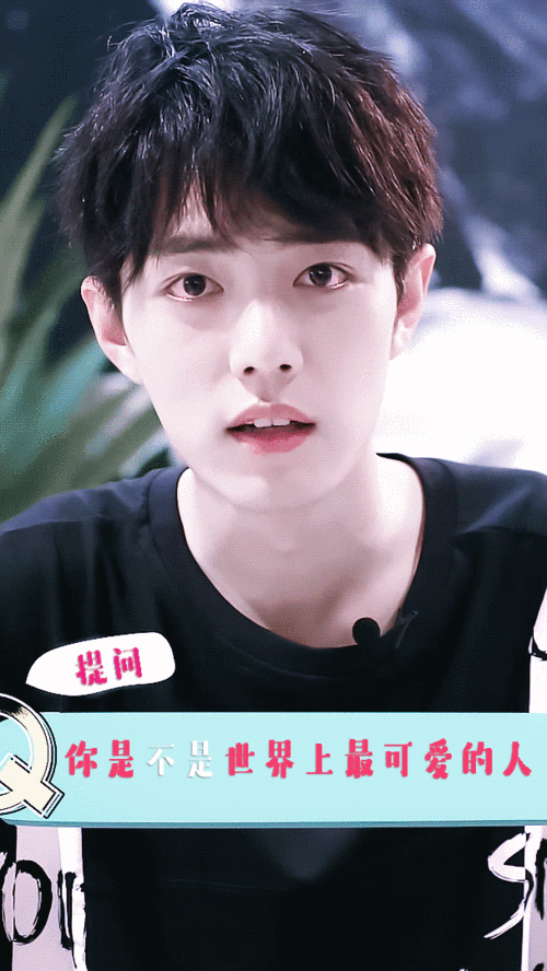 肖战动图 - 堆糖,美图壁纸兴趣社区