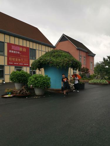 2020年6月27日下午,去海宁长安"国际花卉城",赏花怡情.