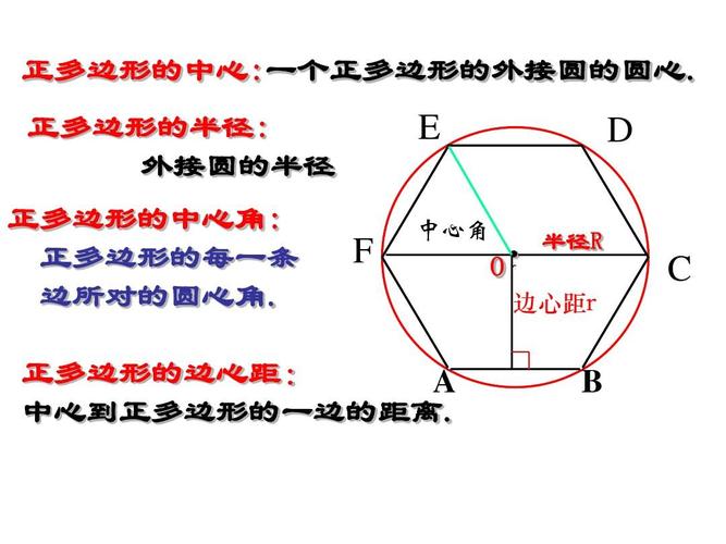 8圆内接正多边形》课件(共14张ppt)
