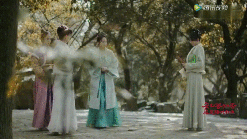 《知否知否应是绿肥红瘦》【盛如兰】张佳宁