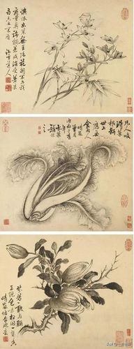 书画联盟丨清 张若霭 水墨花卉册页欣赏