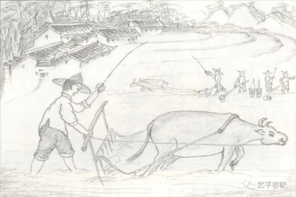 《元初一》中记载的清代闽南人的农耕生产场景