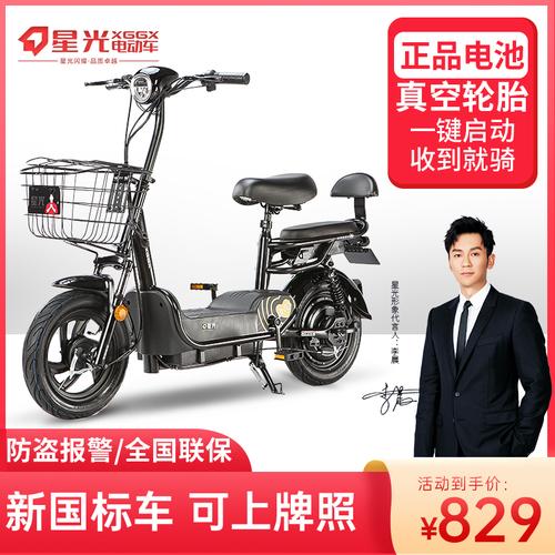 星光国标电动车成人男女小型轻便代步车电动自行车电瓶车金箭制造