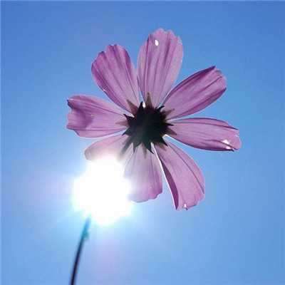 一生好运的微信头像女卡通,女人用什么头像有好运