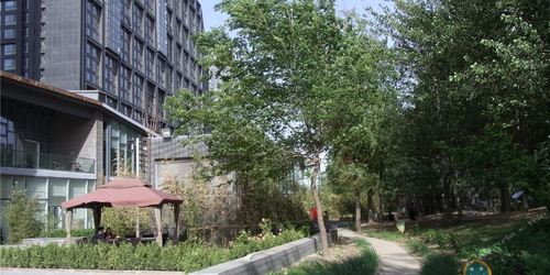 地址(位置,怎么去,怎么走):  北京百子湾路32号院3号楼001