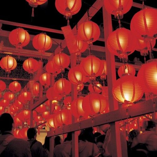 很多灯笼图片