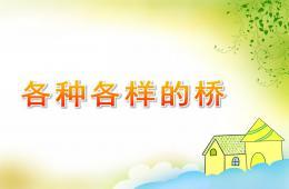大班科学活动各种各样的桥ppt课件