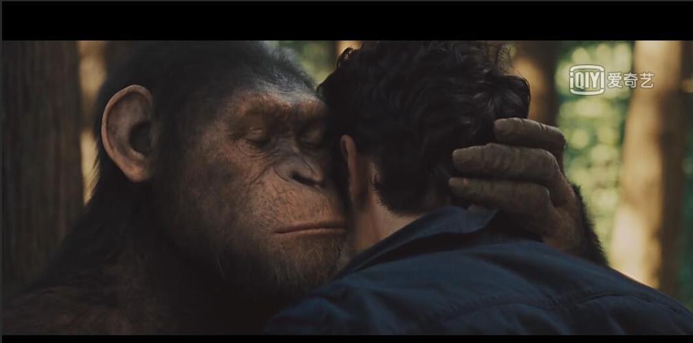 《猩球崛起》系列电影中有哪些让你感动的情节?
