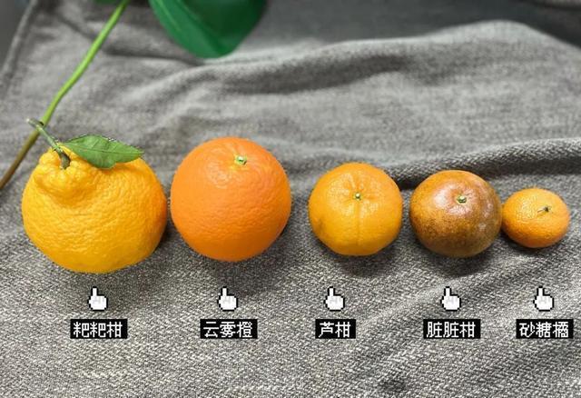 最实在的"柑橘橙"测评告诉