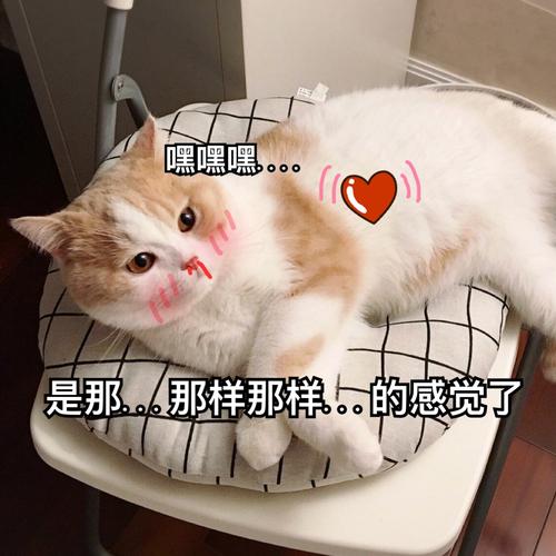 「嘿嘿嘿是那那样那样的感觉了 - 斗图表情包精选-2018/6/2_斗图表情