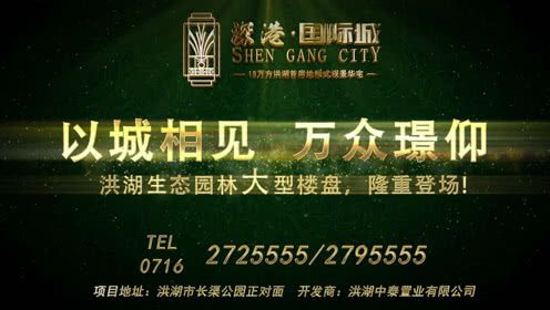 洪湖深港国际城宣传片