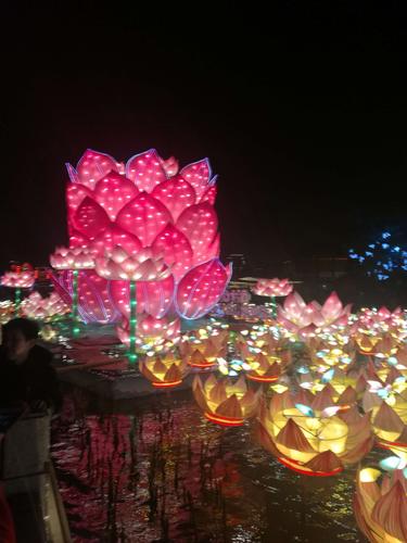 南京白鹭洲灯展