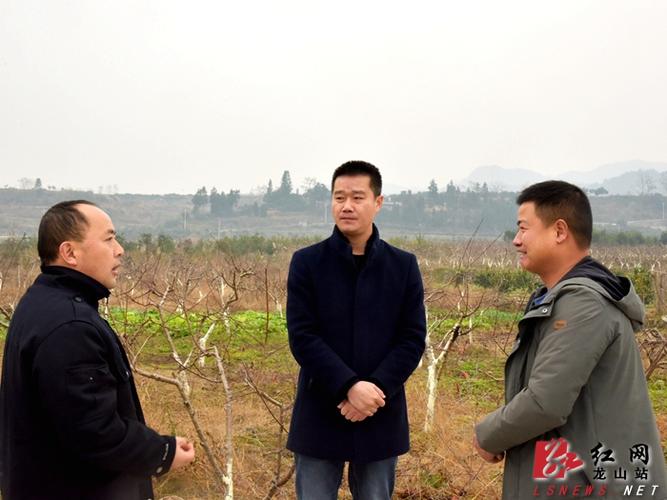 张胜军深入乡镇调研指导同心美丽乡村创建工作