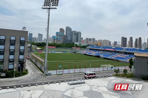 即将承办本次比赛的武汉塔子湖足球训练基地.供图/肖俊杰