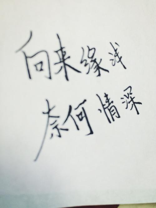 向来缘浅奈何情深