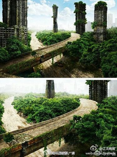 人类灭绝后地球上的建筑将快速腐朽,木制房子将在100年内消失