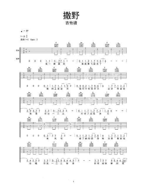 撒野吉他谱乐谱