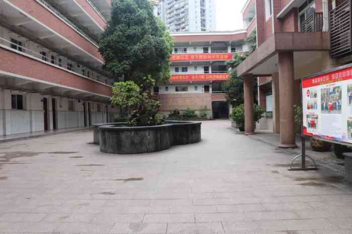 松树桥中学-"龙溪镇长大的娃儿,印象最深就是松树桥.