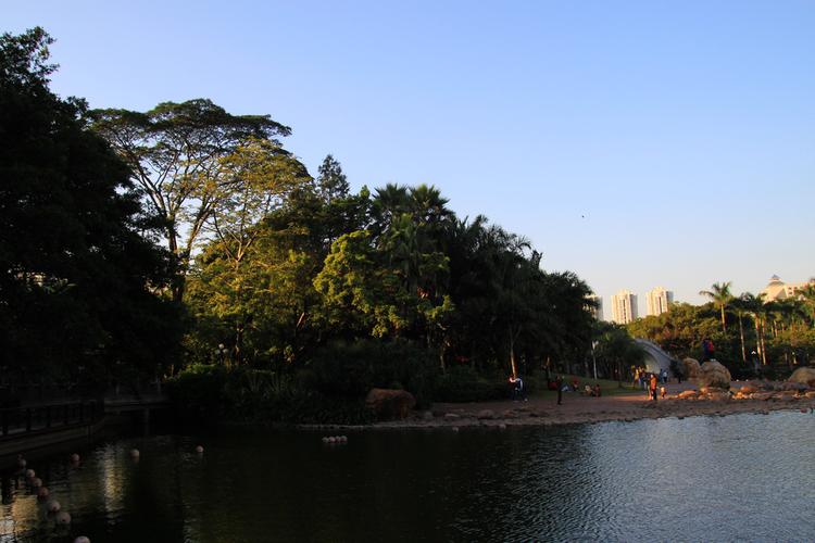 深圳荔枝公园