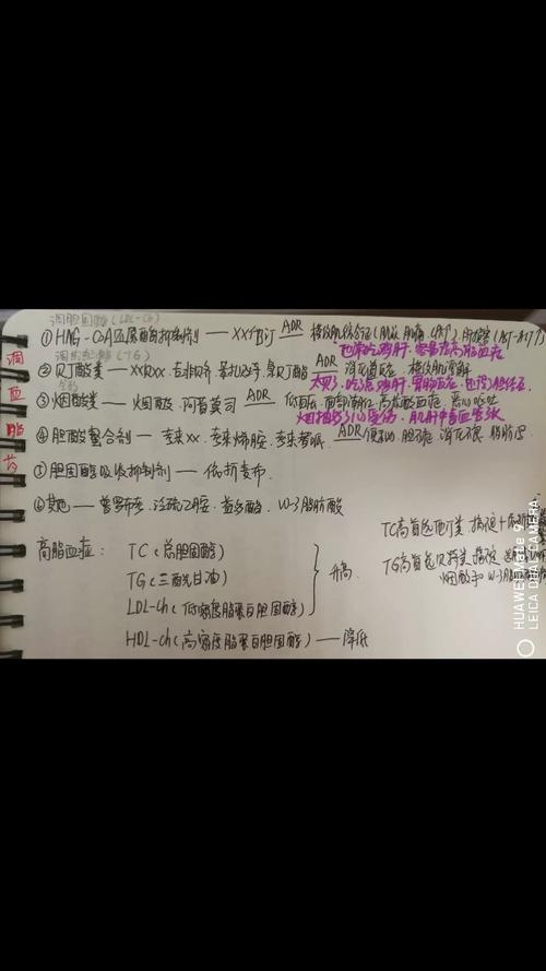 临床药学手写笔记