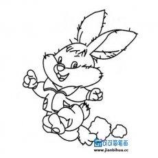 小兔子图片简笔画,可爱的小兔子