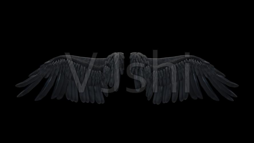 黑色翅膀邪恶翅膀恶魔翅膀_3840x2160_高清视频素材