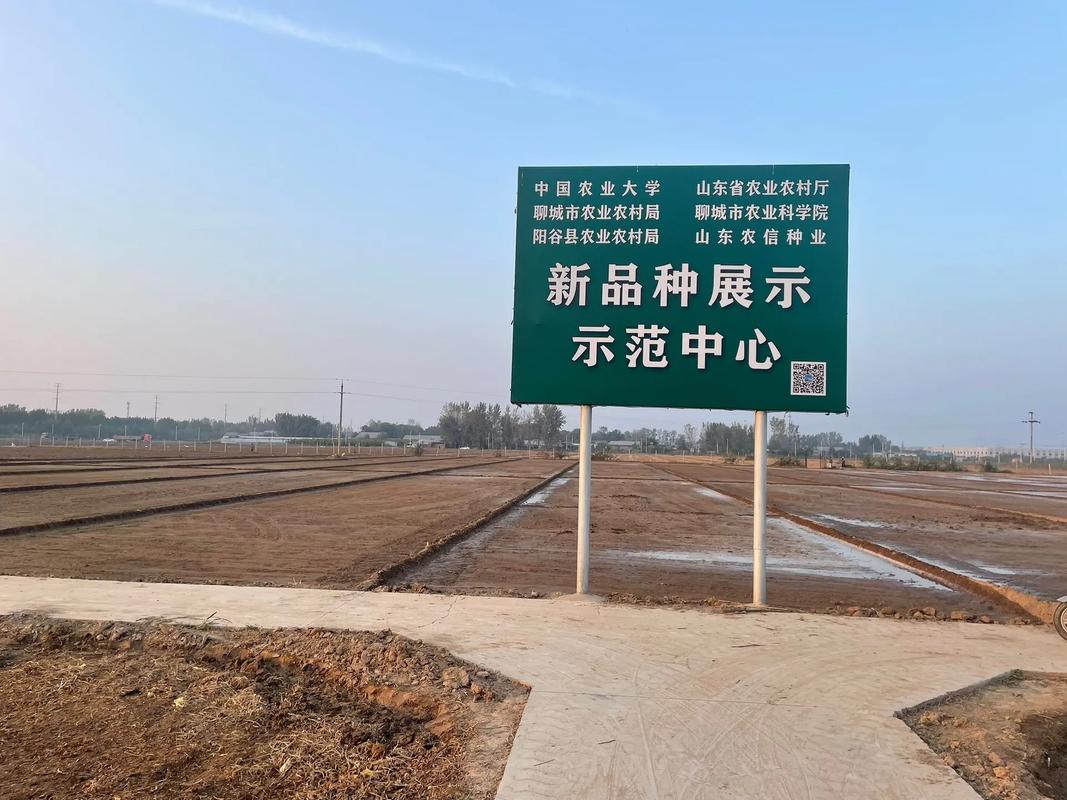 山东省农作物新品种展示示范中心#农大753#农大761#圣麦