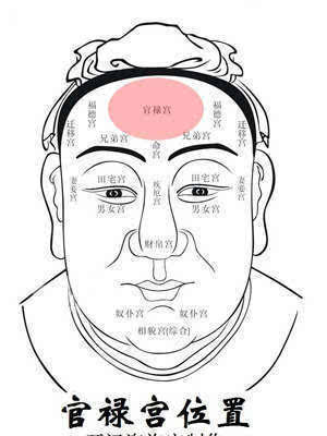 面相之官禄宫