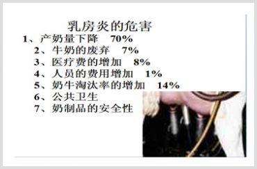 奶牛乳房炎怎么预防