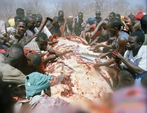 非洲小哥吃雪糕哭了,非洲穷人和富人都吃啥?_点点软件