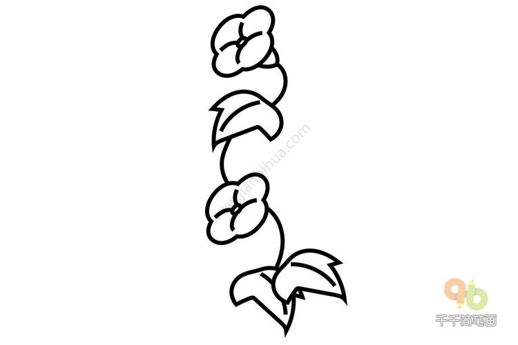 种植牵牛花一般在春天播种,夏秋开花,其品种很多,花的颜色有蓝,绯红