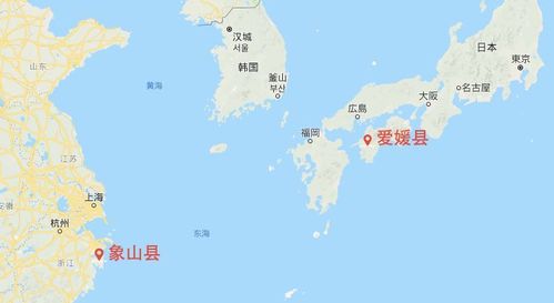 更因为相似的沿海山区和温度带,宁波象山几乎拥有原产地爱媛县的气候