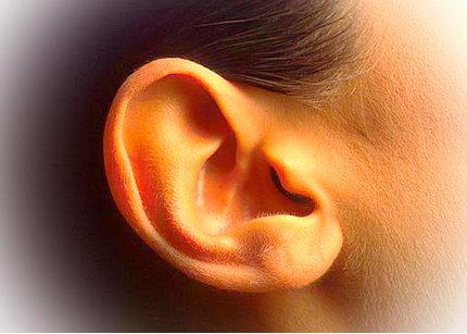 耳朵与眼睛齐平面相