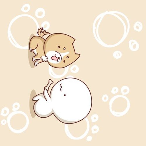 圆头圆脑圆肚皮 全身白白可爱至极