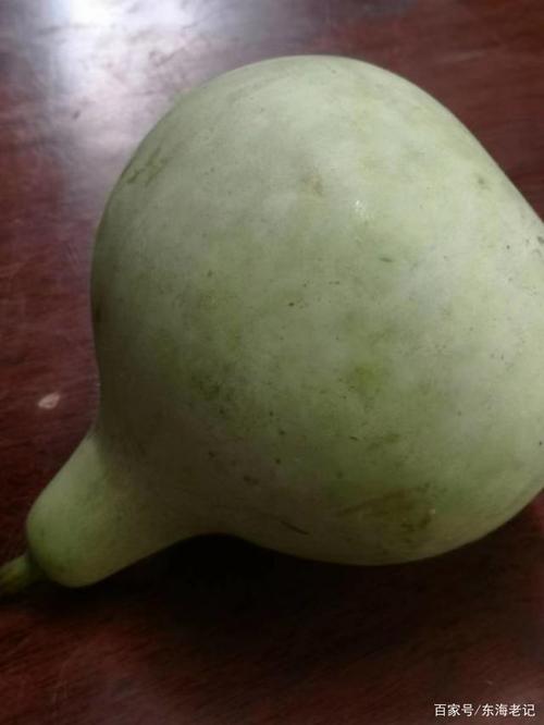 中午摘下一只嫩葫芦,准备切丝做汤食用.
