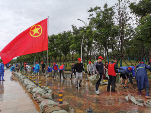 青年志愿者在防汛救灾一线奋不顾身