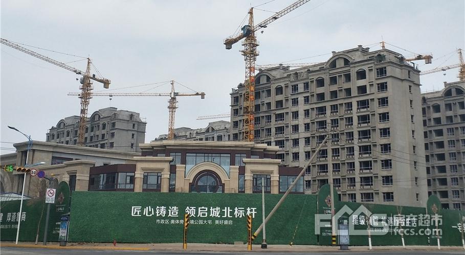 滕州城建·善国盛景二月工程进度()