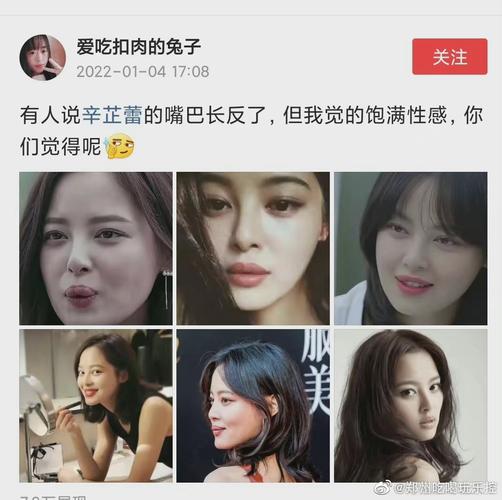 辛芷蕾的嘴巴单看可能不是很好看不过搭配她的五官