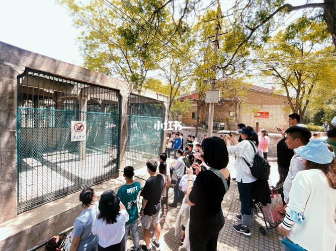 再见,五泉山动物园_五泉山公园攻略_景点_动物园_兰州