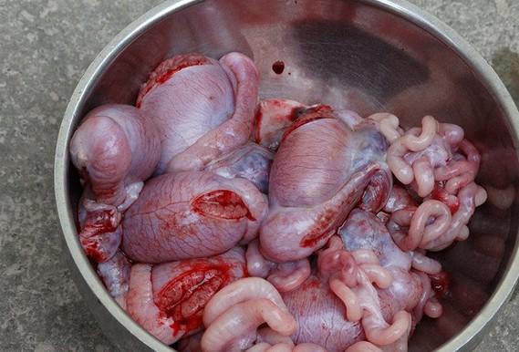 我们来看看阉猪割下来的东西:   据说这些东西用来煲粥很补,到底补