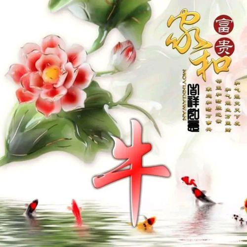 家和富贵,吉祥如意,姓氏头像