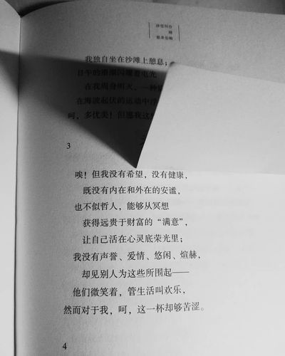 雪莱的诗很有同感了