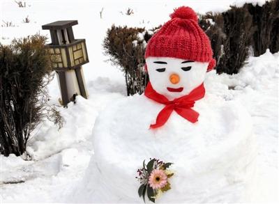 最美雪人
